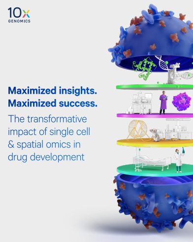 Maximized Insights. Maximized Success.